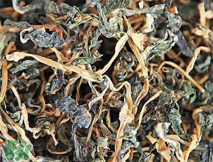 梅干菜是哪里的特產(chǎn)？梅干菜是發(fā)物嗎