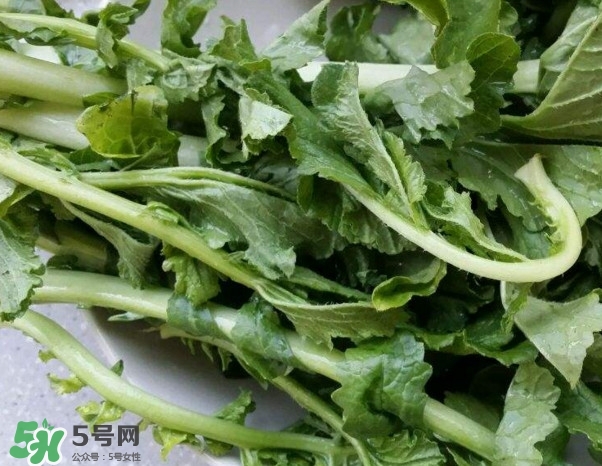 蘿卜纓能吃嗎？蘿卜纓怎么做好吃