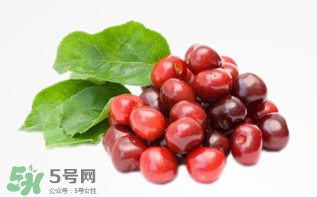 蔓越莓什么時候成熟？蔓越莓什么時候吃最好