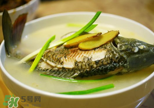 鯉魚湯怎么做好吃？鯉魚湯里面可以放什么？