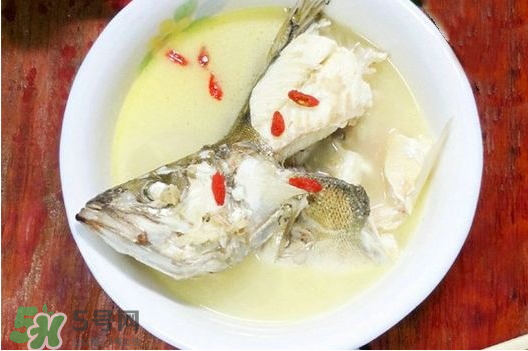 鯉魚湯怎么做好吃？鯉魚湯里面可以放什么？