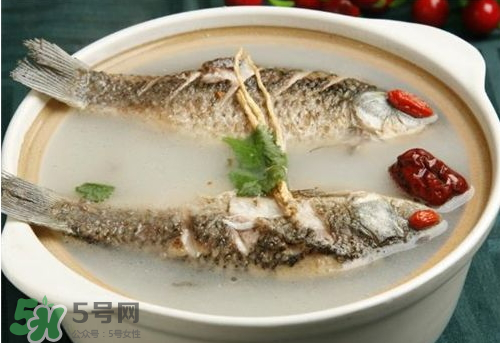 鯽魚湯下奶嗎？鯽魚湯的功效與作用