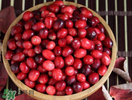 蔓越莓什么時候成熟？蔓越莓什么時候吃最好