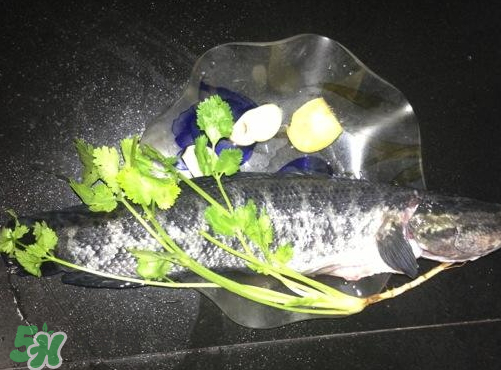 黑魚湯對傷口有好處嗎？黑魚湯的做法術(shù)后恢復(fù)