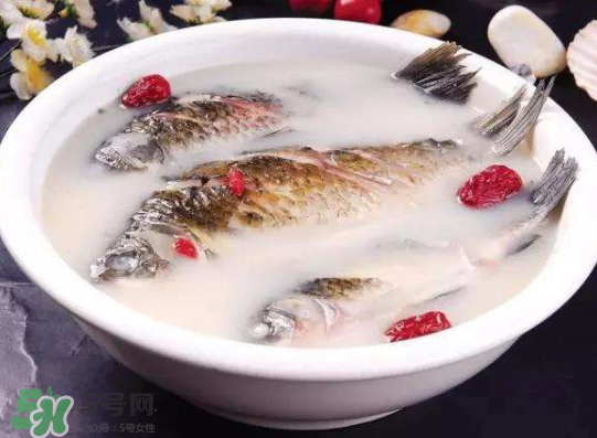 鯽魚湯里可以放什么菜最好？鯽魚燉湯放什么菜？