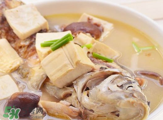鯽魚湯可以放香菇嗎？香菇鯽魚湯的做法