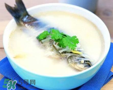 鯽魚湯可以放牛奶嗎？牛奶鯽魚湯的做法