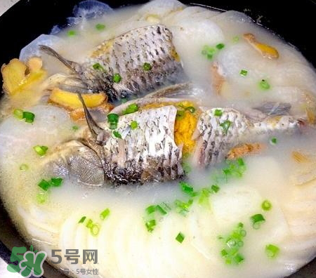 鯽魚湯可以放牛奶嗎？牛奶鯽魚湯的做法
