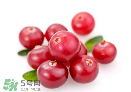 蔓越莓在中國有嗎？蔓越莓怎么辨別真假