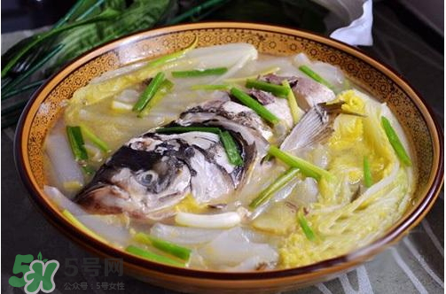 鰱魚湯怎么熬湯？鰱魚湯的功效與作用