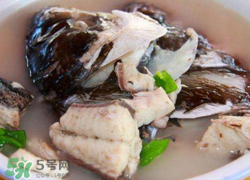鰱魚湯怎么熬湯？鰱魚湯的功效與作用