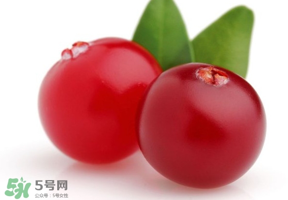 蔓越莓是藍(lán)莓嗎？蔓越莓是哪里產(chǎn)的