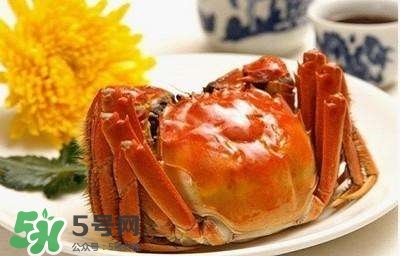 孕婦能吃蟹棒嗎？孕婦能吃什么海鮮？