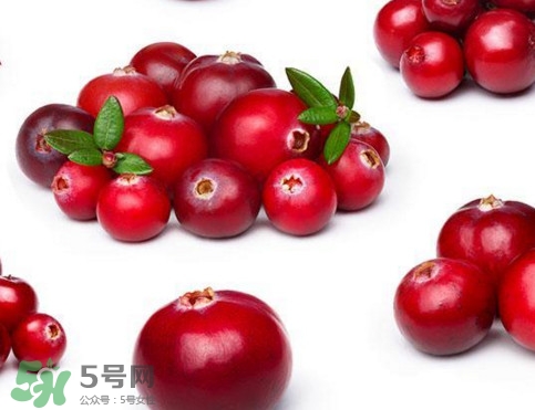 蔓越莓是藍(lán)莓嗎？蔓越莓是哪里產(chǎn)的