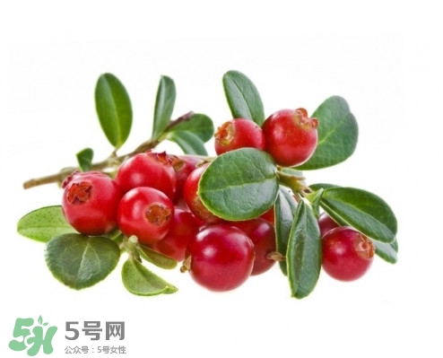 蔓越莓在中國有嗎？蔓越莓怎么辨別真假