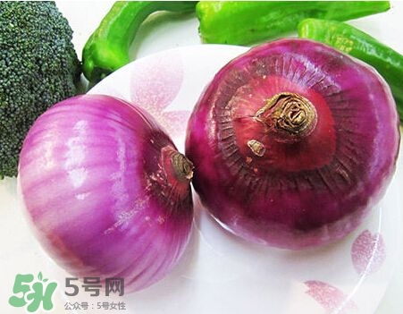 洋蔥狗狗能吃嗎？狗狗吃了洋蔥怎么辦？