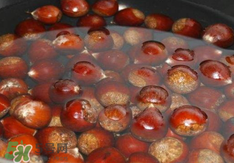 板栗用冷水還是熱水煮？煮板栗用冷水還是熱水？