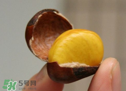 板栗用冷水還是熱水煮？煮板栗用冷水還是熱水？