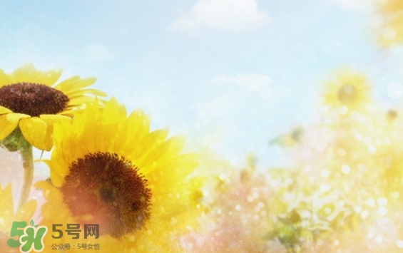 見封滾是什么意思？