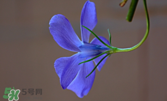 見封滾是什么意思？