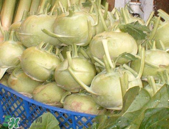 苤藍怎么腌制好吃？苤藍有什么營養(yǎng)