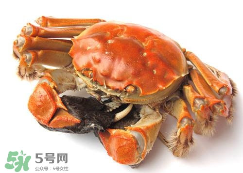 螃蟹里面有寄生蟲嗎？螃蟹有寄生蟲還可以吃嗎？