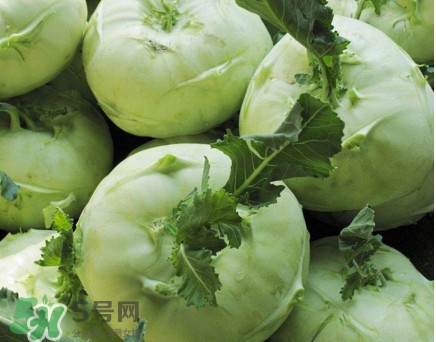 苤藍(lán)什么季節(jié)種植？苤藍(lán)什么時(shí)候采收