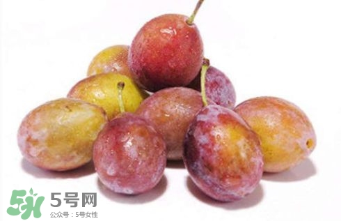 西梅可以放冰箱嗎？西梅放冰箱冷藏還是冷凍？