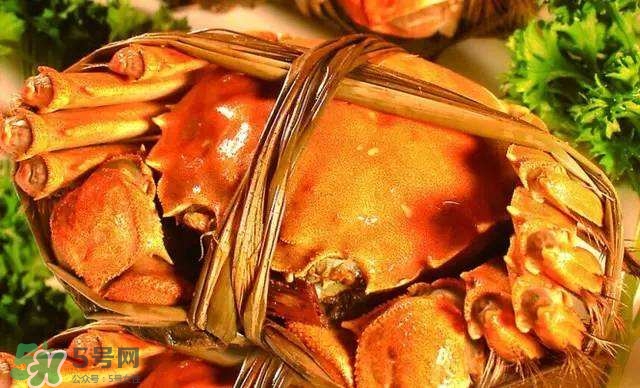 螃蟹吃什么食物長得大？十月份吃什么螃蟹？