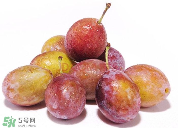 西梅汁怎么做？西梅汁的功效與作用 