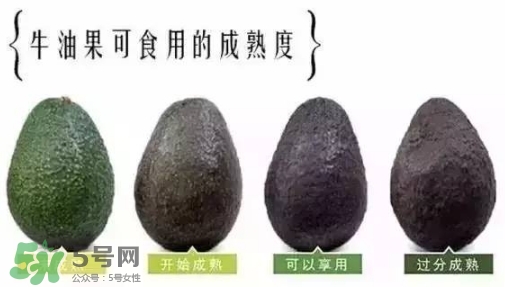 牛油果是什么味道？牛油果是甜的嗎？