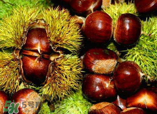 板栗泡酒要去皮嗎？板栗泡酒不去皮可以嗎？