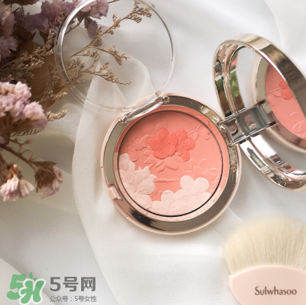 雪花秀腮紅多少錢(qián)？雪花秀腮紅價(jià)格