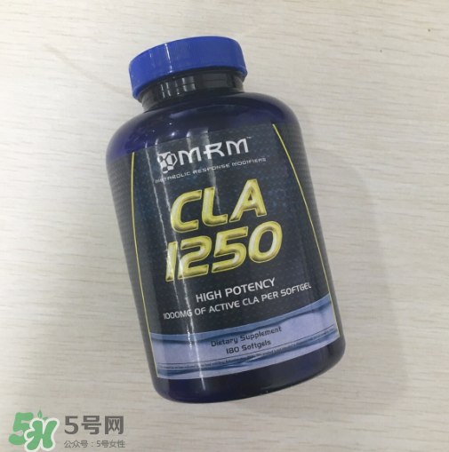 肌酸能和蛋白粉一起吃嗎？肌酸能長期服用嗎？