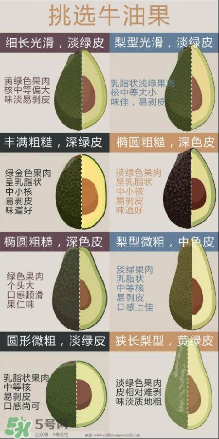 牛油果怎么挑選？牛油果多少錢(qián)一斤？