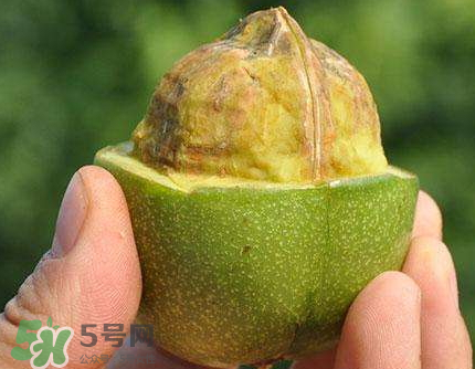 青皮核桃可以冷凍嗎？青皮核桃可以冷藏嗎？
