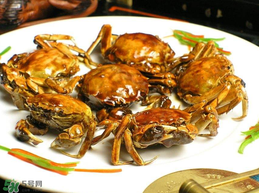 哪種螃蟹肉多？哪種螃蟹最好吃？