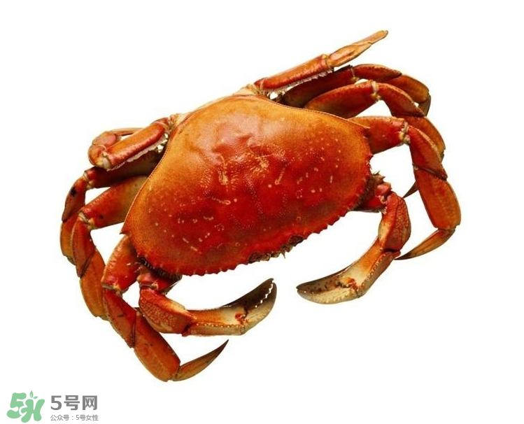 哪種螃蟹不能吃？什么樣的螃蟹不能吃？
