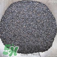 核桃粉怎么做？核桃粉的功效與作用