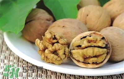 核桃分心木可以煲湯嗎？核桃分心木可以和枸杞泡水嗎？