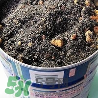 核桃粉怎么做？核桃粉的功效與作用