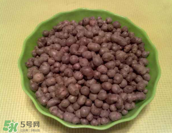 山藥豆是什么東西？山藥豆是長在土里嗎？