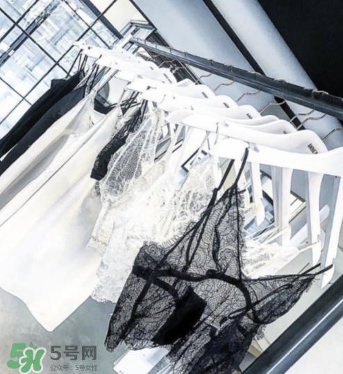 anine bing是什么牌子？anine bing是什么檔次？
