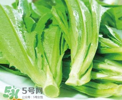 萵苣葉能吃嗎？萵苣葉和油麥菜有什么區(qū)別