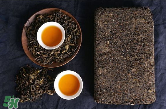 茯茶是熱性還是涼性？茯茶是不是放越久越好？