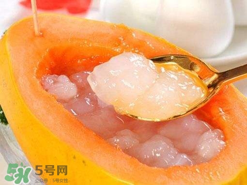 如何分辨雪蛤真假？挑雪蛤的方法