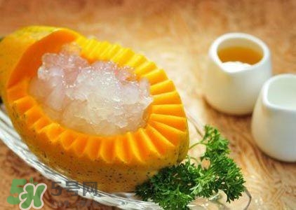雪蛤膏是啥？雪蛤膏的功效與作用
