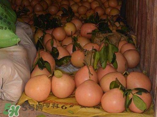 三紅蜜柚什么時候種植？三紅蜜柚什么時候成熟