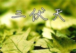 為什么三伏天最熱？如何過(guò)好三伏天？