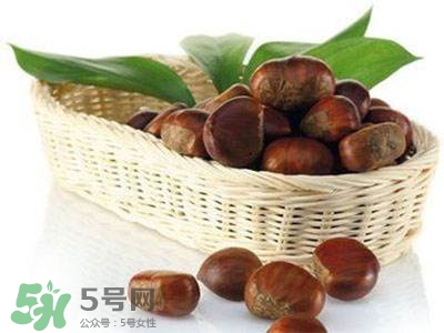 板栗酒能治療腎陽虛嗎？板栗泡酒真的能壯陽嗎？